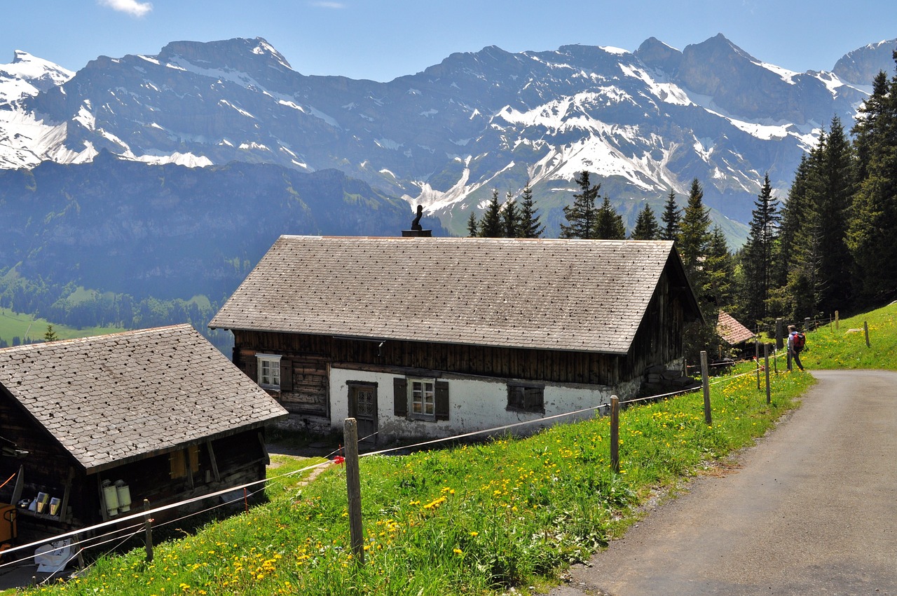 swiss alps