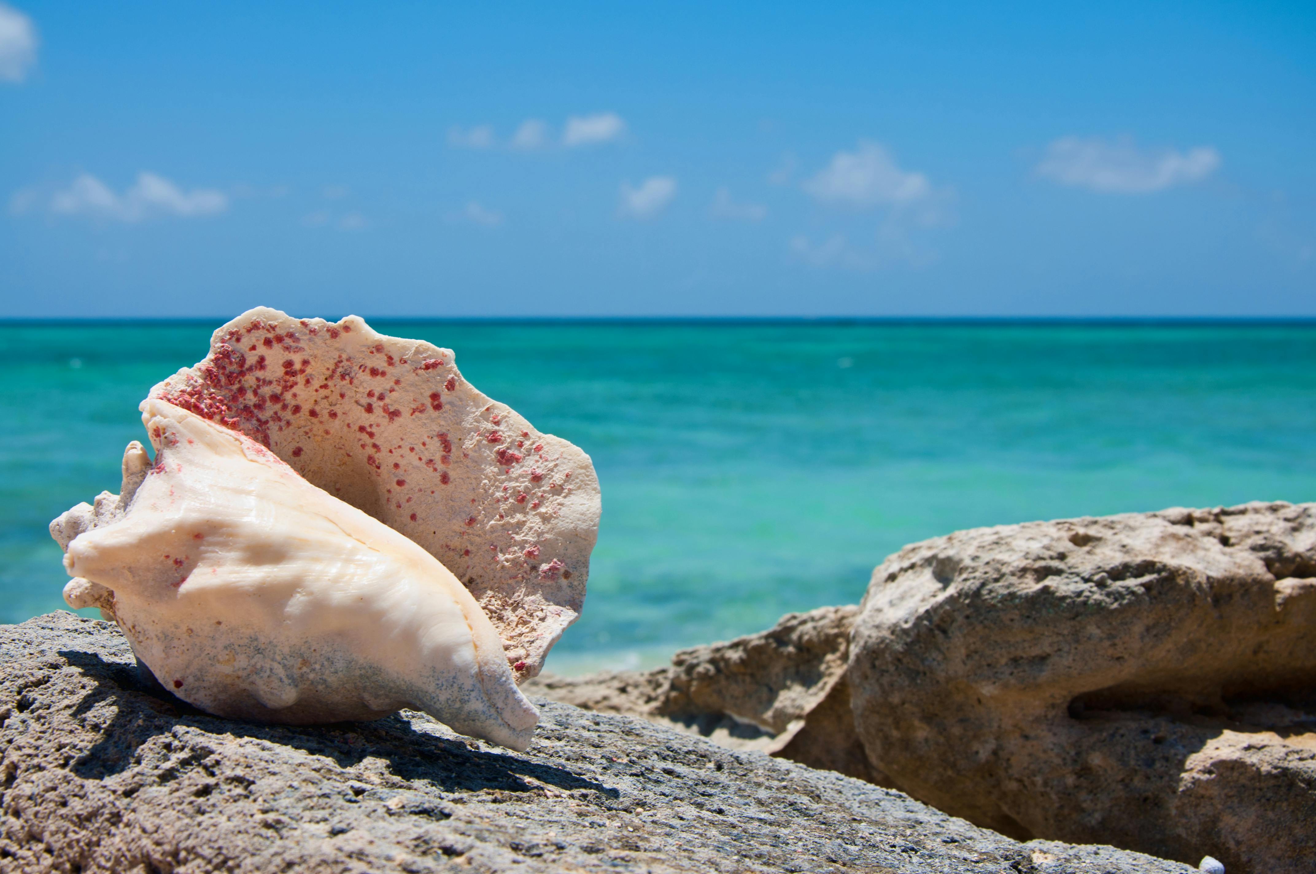 turks and caicos resorts