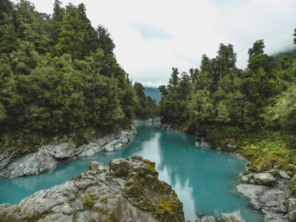 new zealand torus