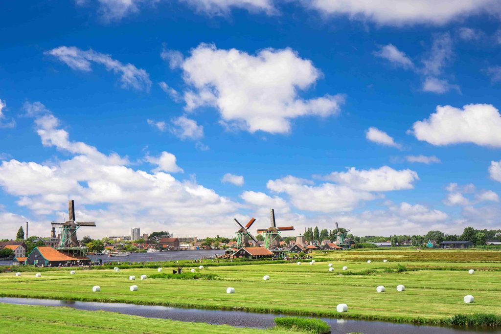 amsterdam torus